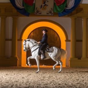 Real escuela andaluza del arte ecuestre: Visita completa