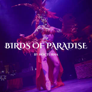 Birds of Paradise by Nocturna