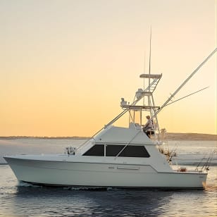 6 Hour Family Fun Fishing Charter on a 42’ Sportfish ,Alibi