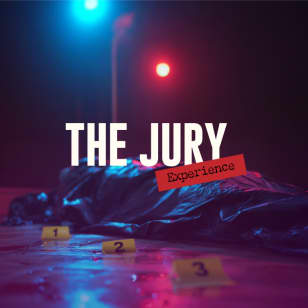 The Jury Experience: Murder Case