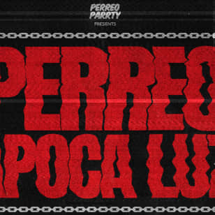 Fiesta de Navidad en el almacén de Perreo