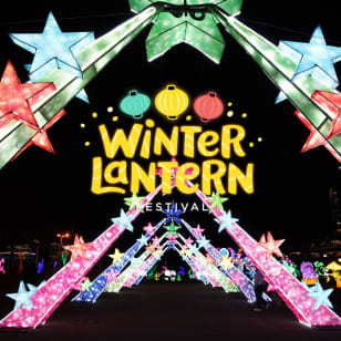 Winter Lantern Festival (Westwego, LA) - Waitlist