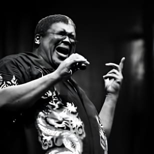 Fat Cat - Concert Live