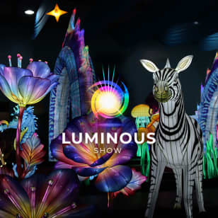 Luminous Show - Blumenau
