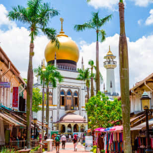 City Highlights: Chinatown, Little India & Kampong Gelam Tour