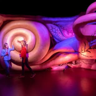 CORPUS: Admission Ticket + Audio Guide