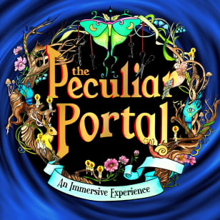 The Peculiar Portal: An Immersive Adventure