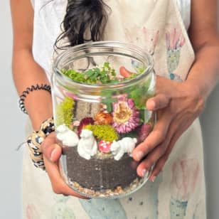Closed Ecosystem Terrarium