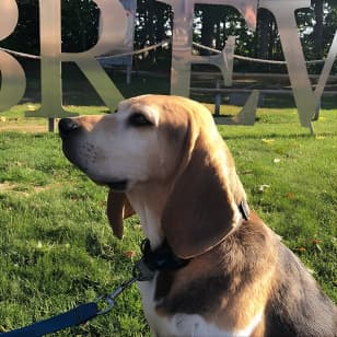 Private:Brewery, Winery, and Cider & Spirit Tastings Tour in SW Ontario