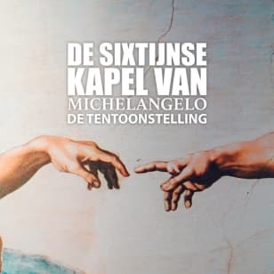 De Sixtijnse Kapel van Michelangelo: De Tentoonstelling