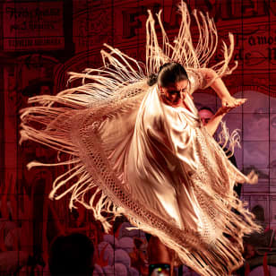 Flamenco de Leones, Madrid