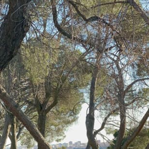 Madrid: Pilates por la mañana o al atardecer en el Templo de Debod