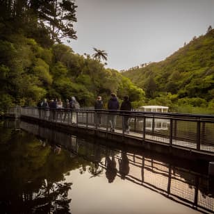 Zealandia - Twilight Guided Eco Wildlife Tour