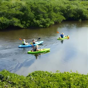 Kayaking the Canals of Venice, FL