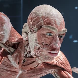 ﻿BODY WORLDS Berlin