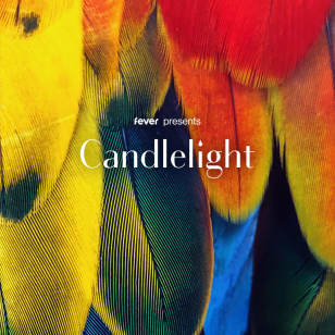 ﻿Candlelight: A tribute to Elton John