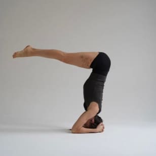Taller de invertidas: tips & drills