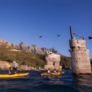 Kayak Chapman's Peak and Karbonkelberg in Hout Bay