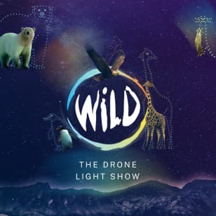 WILD: The Drone Light Show