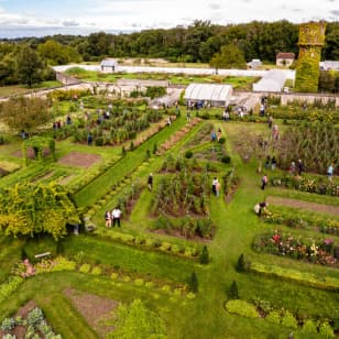 Exposition « Deyrolle, Leçons d'anatomie » au Château de La Bourdaisière