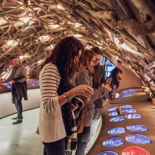 Visita inmersiva a las Cuevas del Louvre