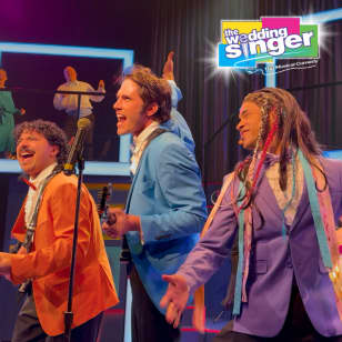 The Wedding Singer: The Musical Comedy