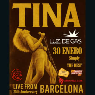 Tributo a Tina Turner