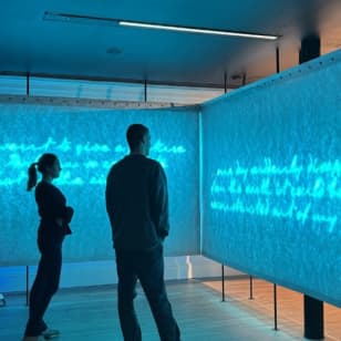 MoLI – Museum of Literature Ireland: Guided Tour