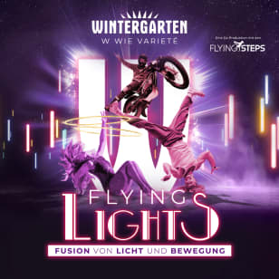 ﻿FLYING LIGHTS Show Café - Fusion of light and movement - the highlight show