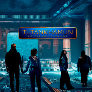 Tutankhamun: His Tomb and His Treasures - Waitlist