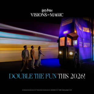 Harry Potter: Visions of Magic