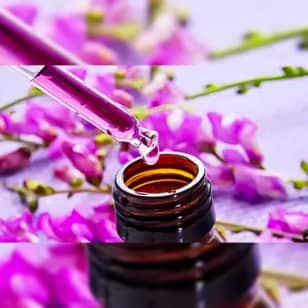 Art of Aromatherapy 'Perfume-making'