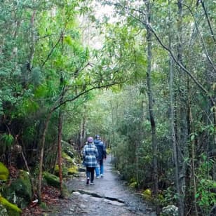 kunanyi/Mt Wellington Explorer Bus - One Way Tour