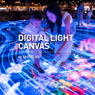 Digital Light Canvas by teamLab