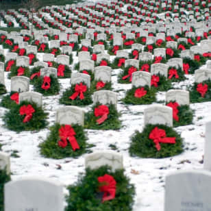 Arlington National Cemetery Guided Walking Tour: Semi-Private