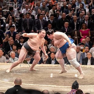 Sumo Tournament Experience in Tokyo