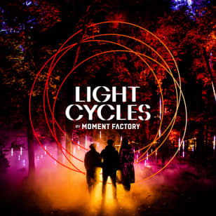 Light Cycles: ¡Un paseo nocturno mágico entre las luces y los sonidos de la naturaleza!
