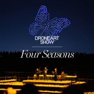 DroneArt Show: Las cuatro estaciones