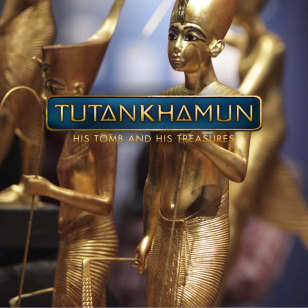 Tutankhamun: His Tomb and His Treasures - Washington DC