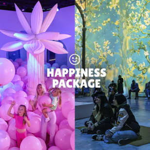 Happiness Package: Bubble Planet + Van Gogh in Utrecht