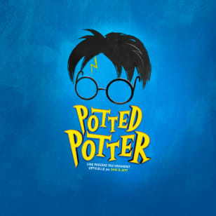 Potted Potter, une parodie pas vraiment officielle par Dan & Jeff