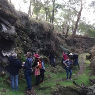 Mount Eccles Volcano – Budj Bim National Park 