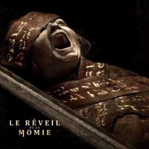 Le Réveil de la Momie