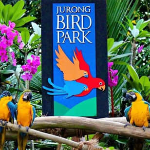Jurong Bird Park Ticket