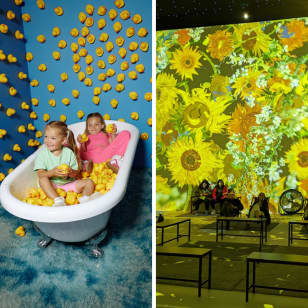 Happiness Package: Bubble Planet and Van Gogh