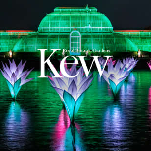 Christmas at Kew - Waitlist
