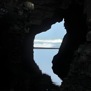 Full Day Exploring the Wild Piha Beach In Auckland 