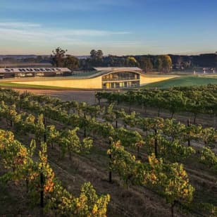Helicopter Winery Lunch to Hubert Estate in Yarra Valley