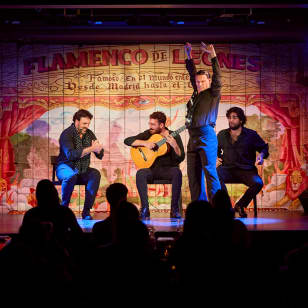 Flamenco Experience at the Puerta de Alcalá