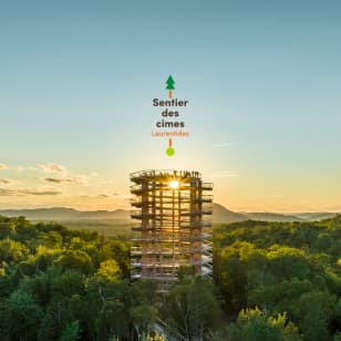 Treetop Walk Laurentides - Day Tickets